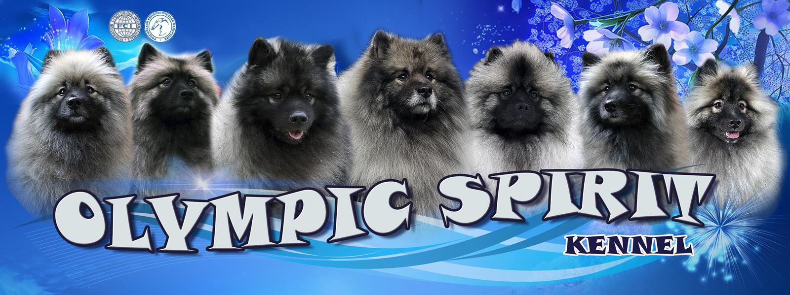 Kennel Olympic Spirit