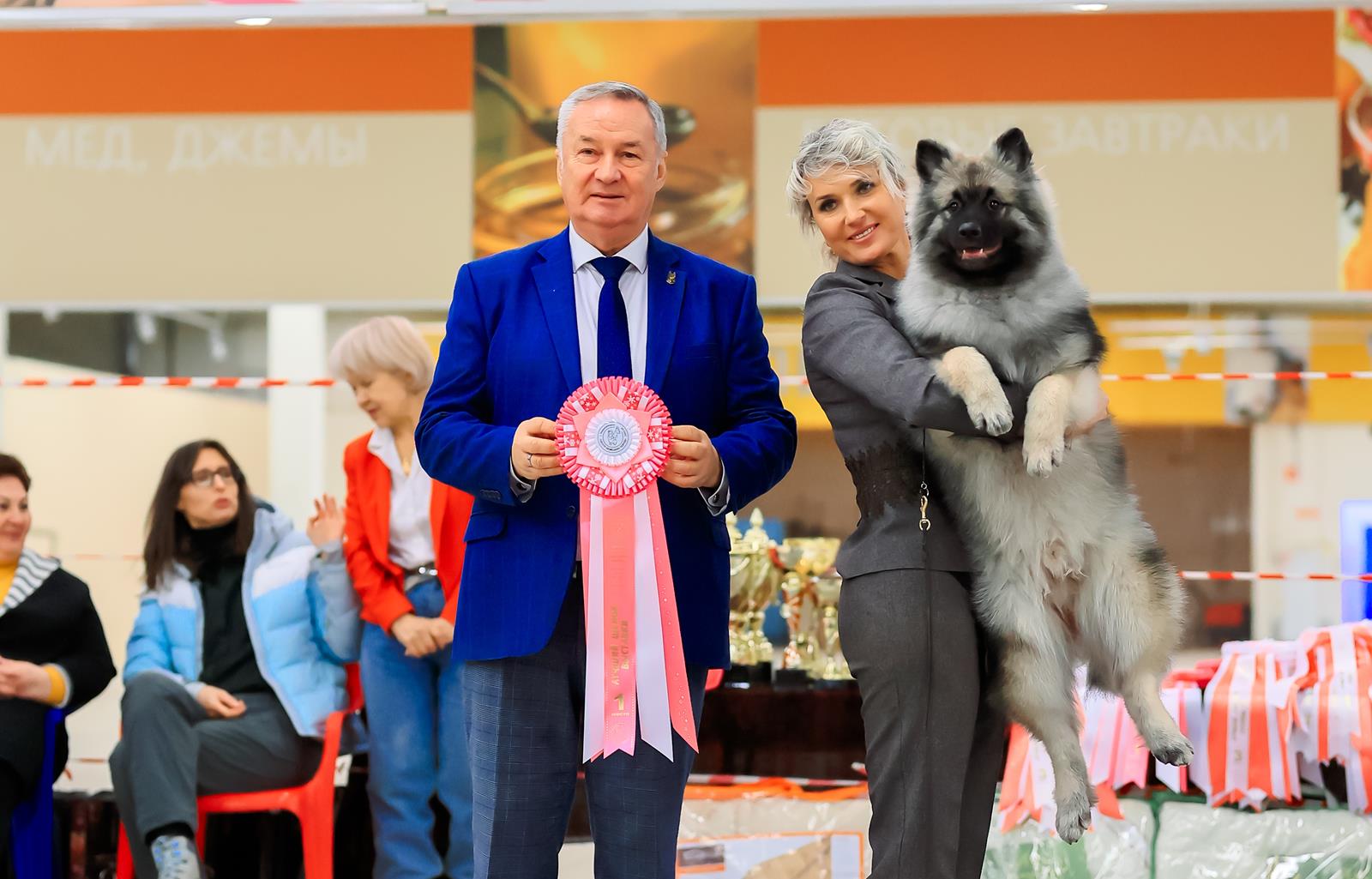 Щенок кеесхонда Диамант