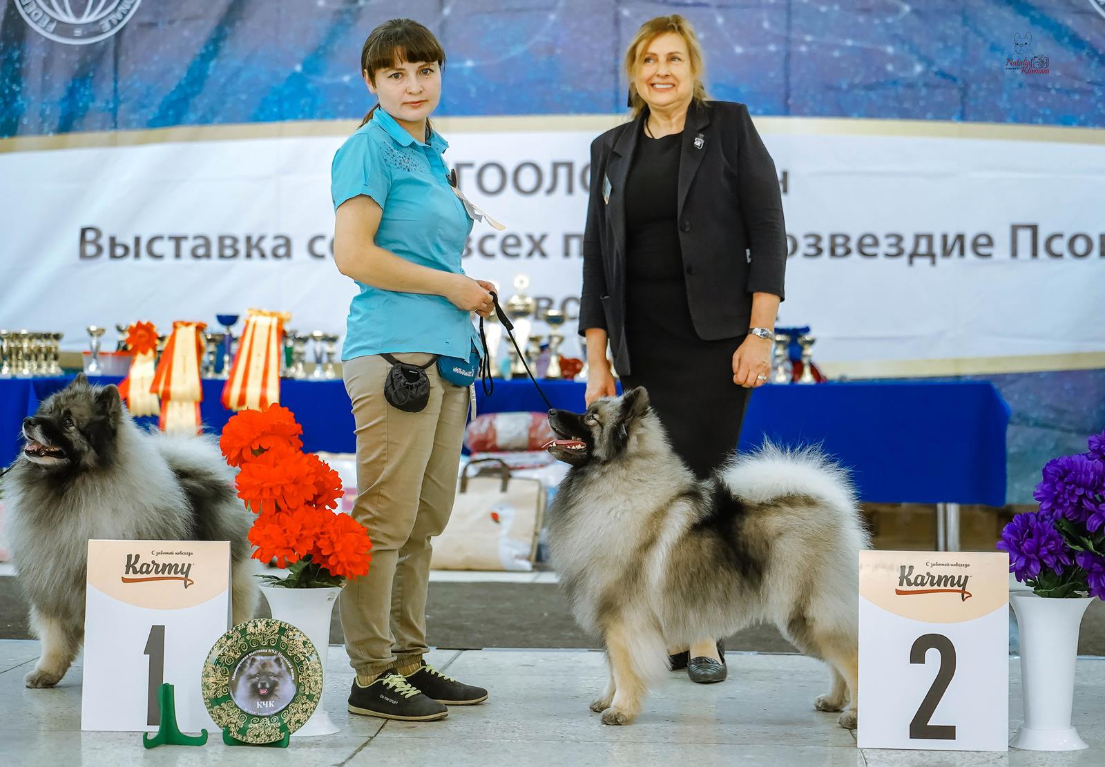 Кеессхонд Олимпик Спирит Жасмина