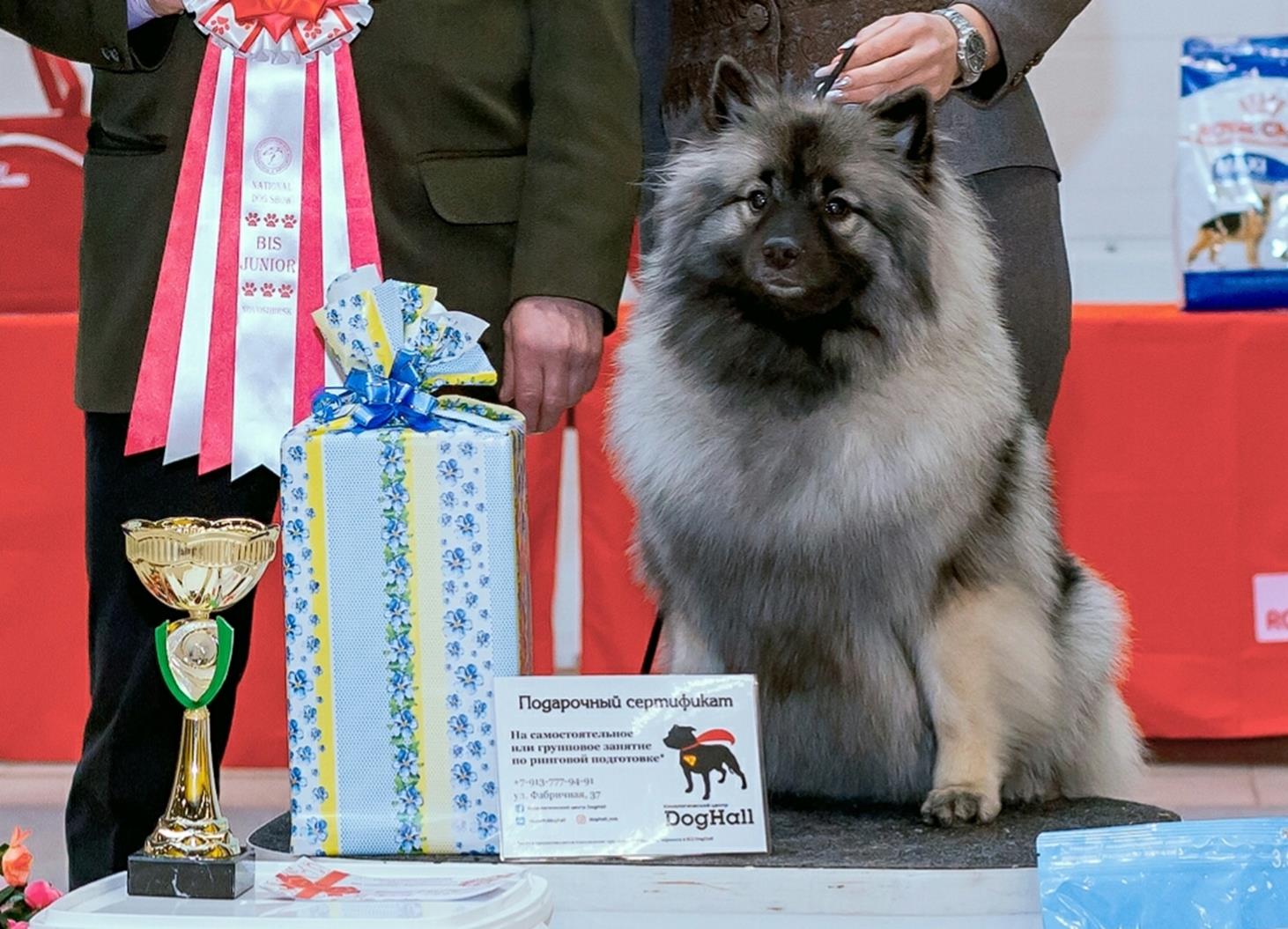 Олимпик Спирит Британика