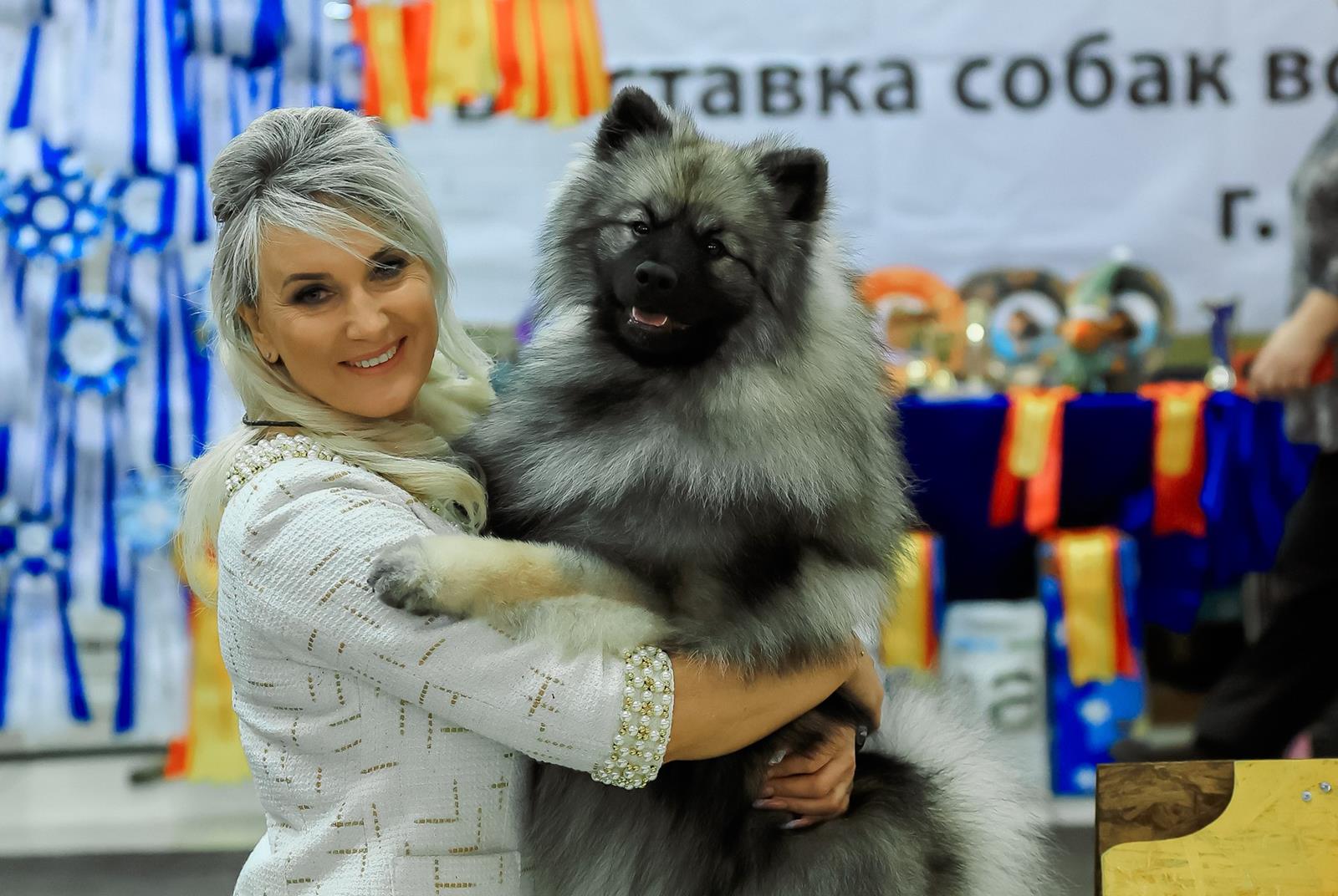 Кеесхонд Вольф_Железный Аргумент