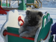 Зимняя Сказка