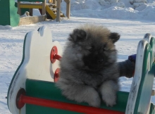 Зимняя Сказка