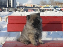 Зимняя Сказка