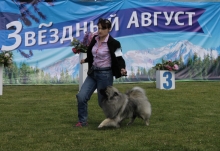 Кеесхонд Олимпик Спирит Адриатика