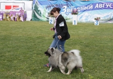 Кеесхонд Олимпик Спирит Адриатика