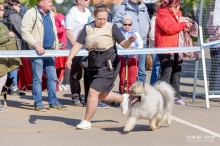 Олимпик Спирит Бенгалия