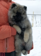 Олимпик Спирит Елиана, 4 месяца