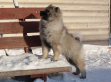 Олимпик Спирит Елиана, 5 месяцев