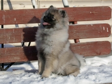 Олимпик Спирит Елиана, 5 месяцев