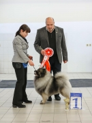 Северная Орхидея Фест Олимпик Голд 