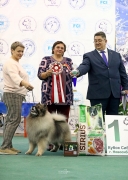 Северная Орхидея Фест Олимпик Голд 