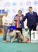 Северная Орхидея Фест Олимпик Голд 