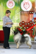 Северная Орхидея Фест Олимпик Голд 
