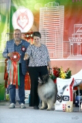 Северная Орхидея Фест Олимпик Голд 