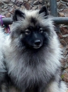 Олимпик Спирит Жасмина, 11 месяцев