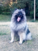 Олимпик Спирит Жасмина, 9 месяцев