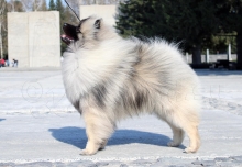 Алмазный Источник Рассветный Туман 