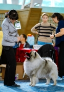 Алмазный Источник Рассветный Туман 