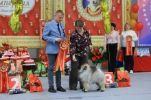 Олимпик Спирит Максимус, 3,5 месяца