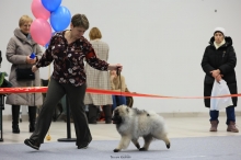 Олимпик Спирит Максимус, 3,5 месяца