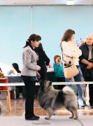 Олимпик Спирит Максимус 