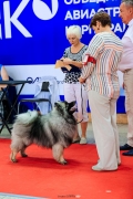 Олимпик Спирит Максимус 