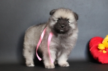 Олимпик Спирит Нэлли, 1 месяц