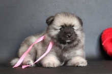 Олимпик Спирит Нэлли, 1 месяц