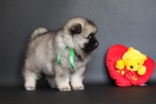 Олимпик Спирит Нэльсон, 1 месяц