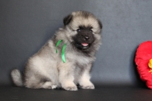 Олимпик Спирит Нэльсон, 1 месяц