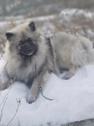 Олимпик Спирит Валенсия