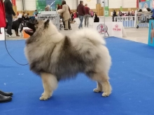 Олимпик Спирит Викинг, 8 месяцев