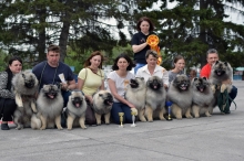 Кеесхонды Моно 15.05.2022 Новосибирск