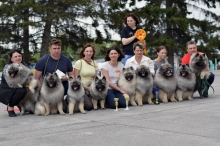 Кеесхонды Моно 15.05.2022 Новосибирск