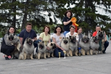 Кеесхонды Моно 15.05.2022 Новосибирск