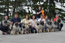 Кеесхонды Моно 15.05.2022 Новосибирск