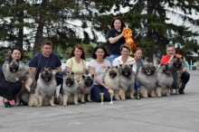 Кеесхонды Моно 15.05.2022 Новосибирск