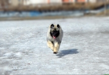 Грация Селесте Яхонт, 5 месяцев