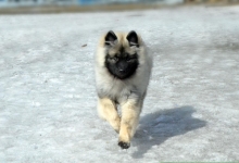 Грация Селесте Яхонт, 5 месяцев