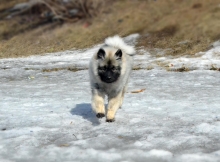 Грация Селесте Яхонт, 5 месяцев