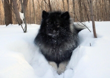 Грация Селесте Яхонт, 14 месяцев
