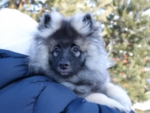 Олимпик Спирит Закирия, 3 месяца