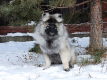 Олимпик Спирит Закирия, 3 месяца