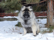 Олимпик Спирит Закирия, 3 месяца