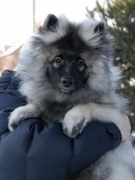 Олимпик Спирит Закирия, 3 месяца
