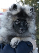 Олимпик Спирит Закирия, 3 месяца
