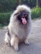 Олимпик Спирит Жиневра 