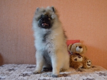 Олимпик Спирит Жиневра, 4 месяца
