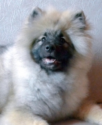 Олимпик Спирит Жиневра, 5 месяцев